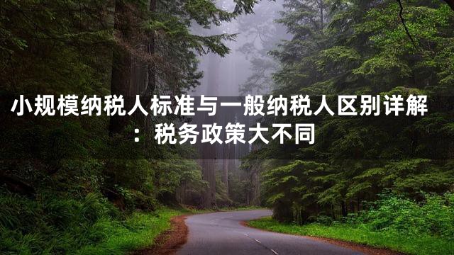 小规模纳税人标准与一般纳税人区别详解：税务政策大不同