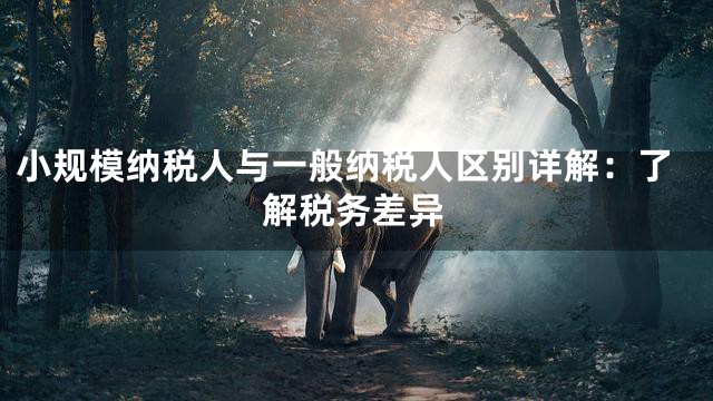 小规模纳税人与一般纳税人区别详解：了解税务差异