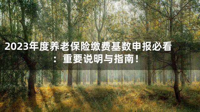 2023年度养老保险缴费基数申报必看：重要说明与指南！