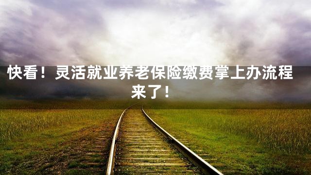 快看！灵活就业养老保险缴费掌上办流程来了！