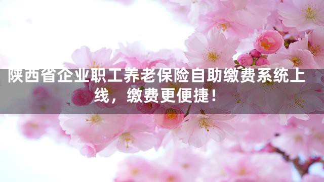 陕西省企业职工养老保险自助缴费系统上线，缴费更便捷！