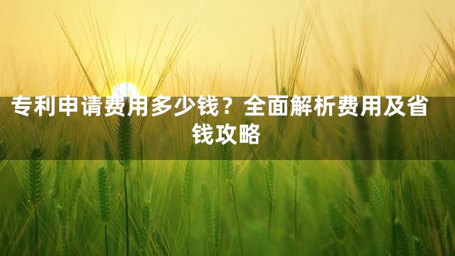 专利申请费用多少钱？全面解析费用及省钱攻略