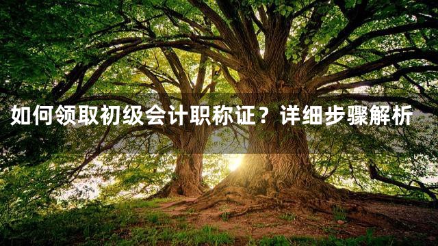 如何领取初级会计职称证？详细步骤解析