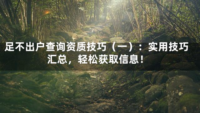 足不出户查询资质技巧（一）：实用技巧汇总，轻松获取信息！