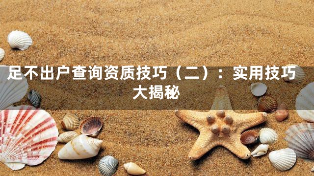 足不出户查询资质技巧（二）：实用技巧大揭秘
