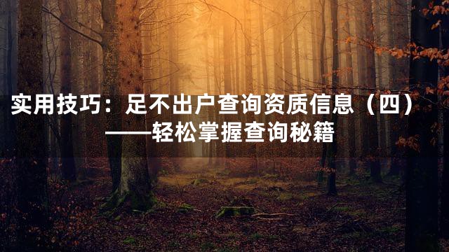 实用技巧：足不出户查询资质信息（四）——轻松掌握查询秘籍