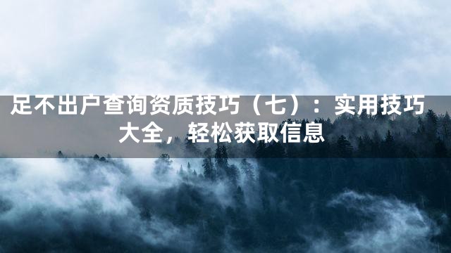 足不出户查询资质技巧（七）：实用技巧大全，轻松获取信息