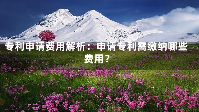 专利申请费用解析：申请专利需缴纳哪些费用？