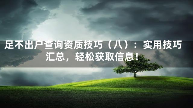 足不出户查询资质技巧（八）：实用技巧汇总，轻松获取信息！