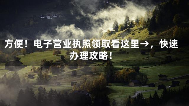 方便！电子营业执照领取看这里→，快速办理攻略！