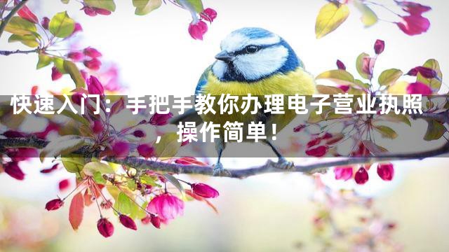快速入门：手把手教你办理电子营业执照，操作简单！