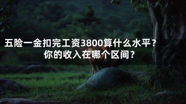 五险一金扣完工资3800算什么水平？你的收入在哪个区间？