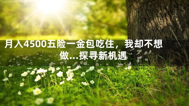 月入4500五险一金包吃住，我却不想做…探寻新机遇