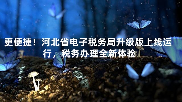 更便捷！河北省电子税务局升级版上线运行，税务办理全新体验