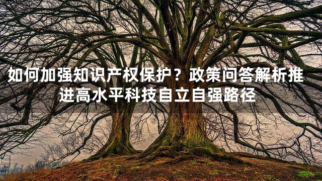 如何加强知识产权保护？政策问答解析推进高水平科技自立自强路径