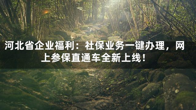 河北省企业福利：社保业务一键办理，网上参保直通车全新上线！