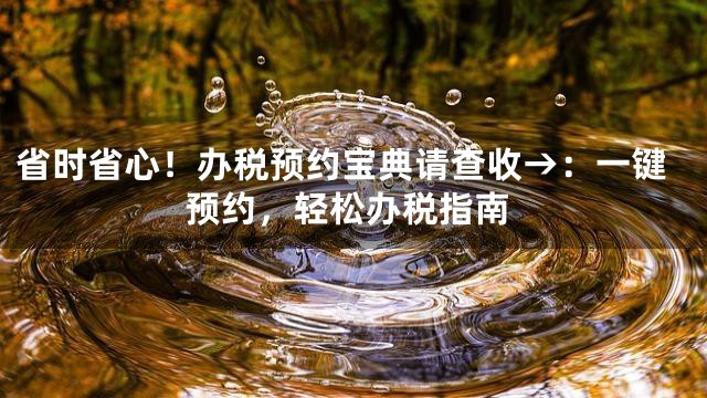 省时省心！办税预约宝典请查收→：一键预约，轻松办税指南