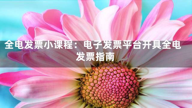 全电发票小课程：电子发票平台开具全电发票指南
