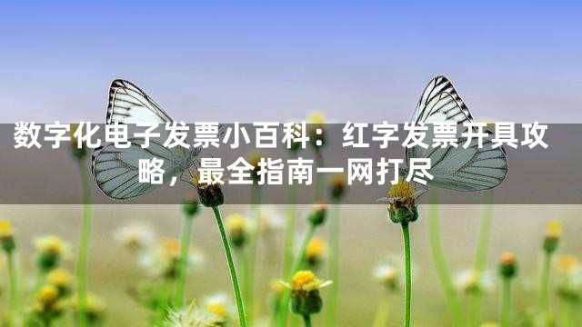 数字化电子发票小百科：红字发票开具攻略，最全指南一网打尽