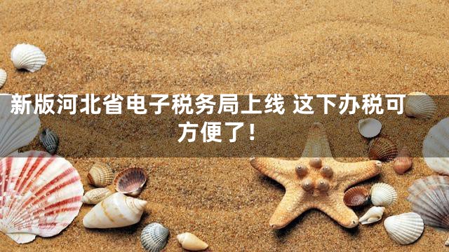 新版河北省电子税务局上线 这下办税可方便了！