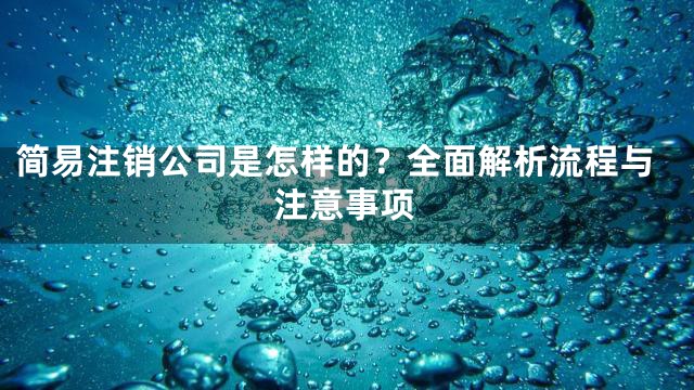 简易注销公司是怎样的？全面解析流程与注意事项