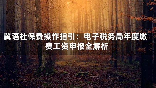 冀语社保费操作指引：电子税务局年度缴费工资申报全解析
