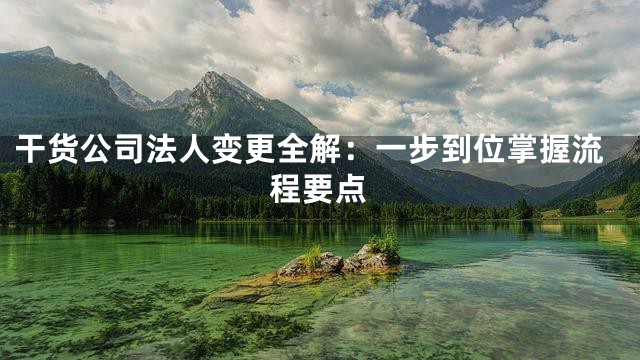 干货公司法人变更全解：一步到位掌握流程要点