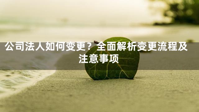 公司法人如何变更？全面解析变更流程及注意事项