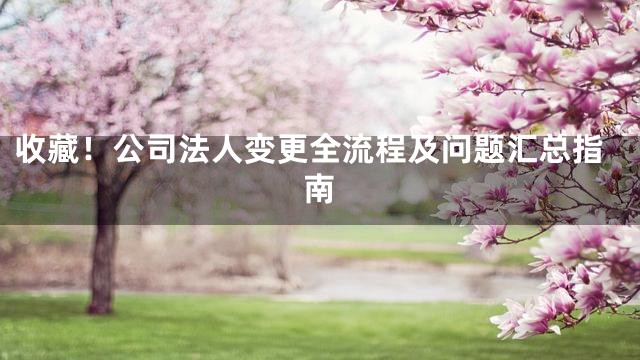 收藏！公司法人变更全流程及问题汇总指南