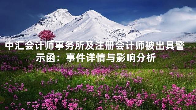 中汇会计师事务所及注册会计师被出具警示函：事件详情与影响分析