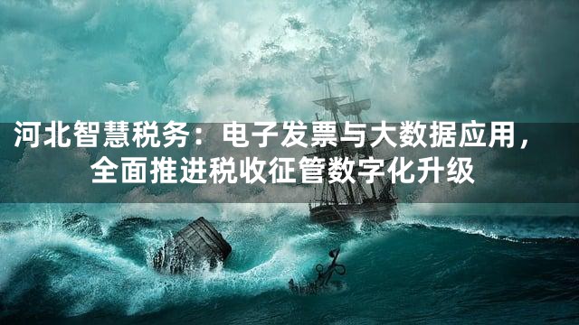 河北智慧税务：电子发票与大数据应用，全面推进税收征管数字化升级