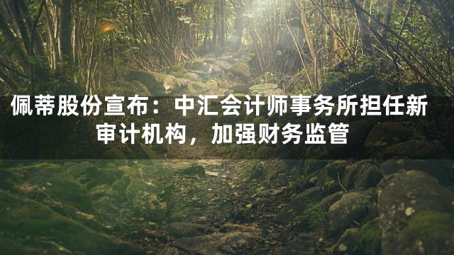 佩蒂股份宣布：中汇会计师事务所担任新审计机构，加强财务监管