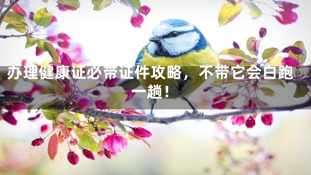 办理健康证必带证件攻略，不带它会白跑一趟！