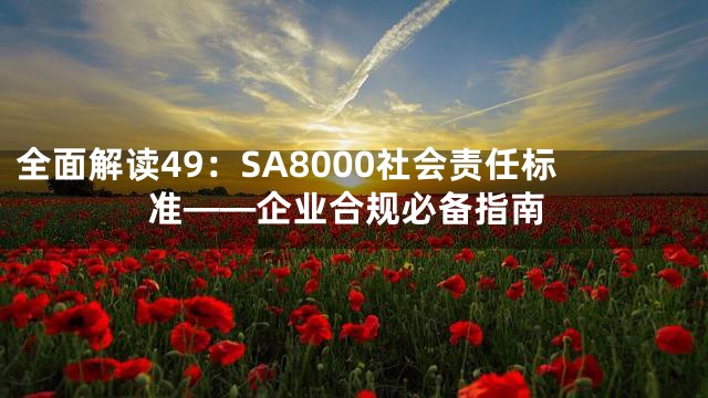全面解读49：SA8000社会责任标准——企业合规必备指南