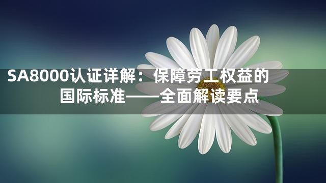 SA8000认证详解：保障劳工权益的国际标准——全面解读要点