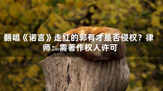 翻唱《诺言》走红的郭有才是否侵权？律师：需著作权人许可