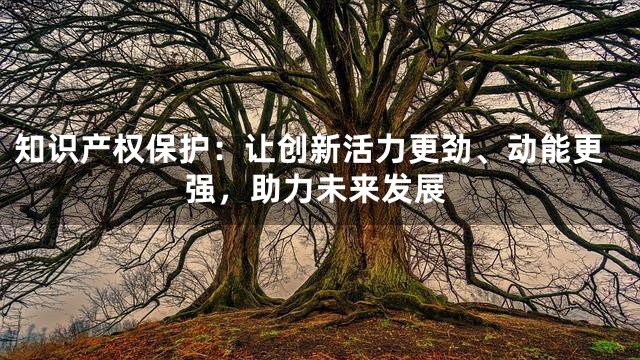知识产权保护：让创新活力更劲、动能更强，助力未来发展