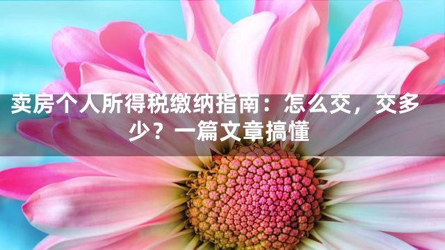 卖房个人所得税缴纳指南：怎么交，交多少？一篇文章搞懂
