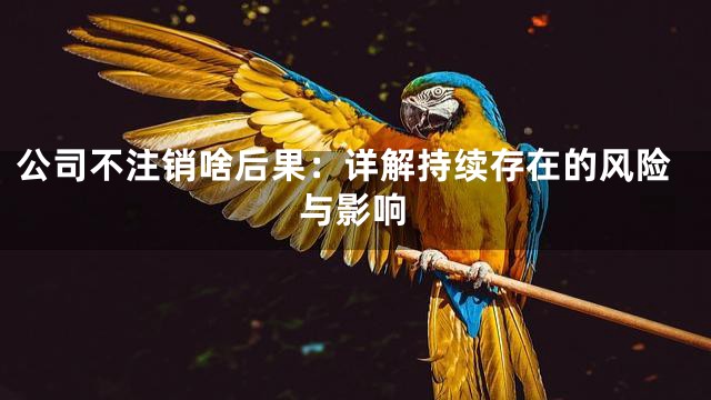 公司不注销啥后果：详解持续存在的风险与影响