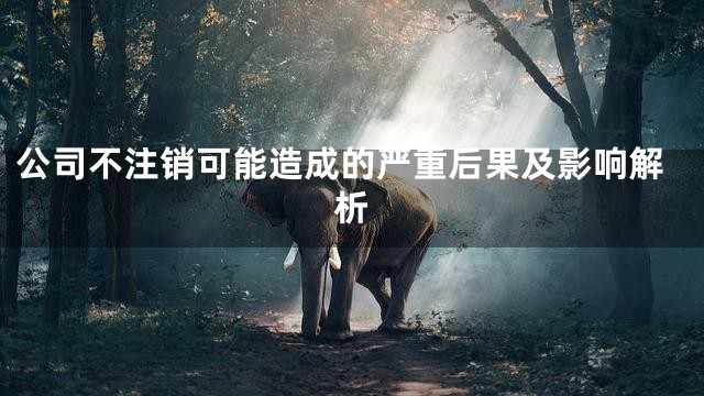 公司不注销可能造成的严重后果及影响解析