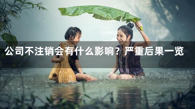 公司不注销会有什么影响？严重后果一览