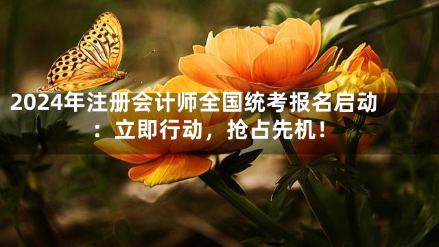 2024年注册会计师全国统考报名启动：立即行动，抢占先机！