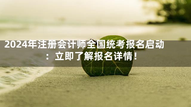 2024年注册会计师全国统考报名启动：立即了解报名详情！