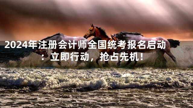 2024年注册会计师全国统考报名启动：立即行动，抢占先机！