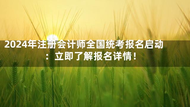 2024年注册会计师全国统考报名启动：立即了解报名详情！