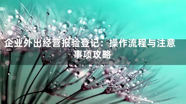 企业外出经营报验登记：操作流程与注意事项攻略