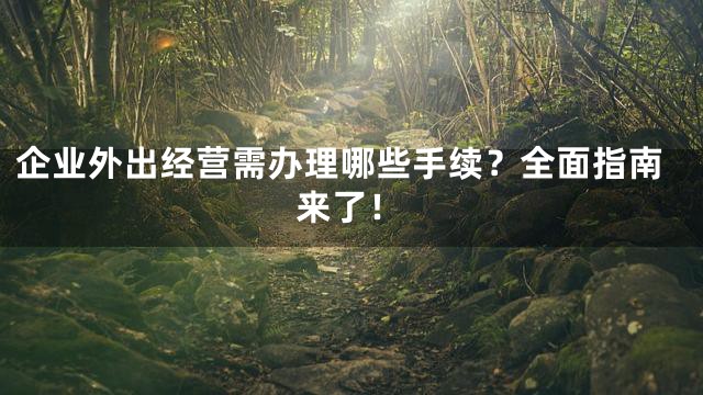 企业外出经营需办理哪些手续？全面指南来了！