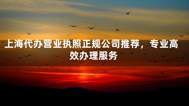 上海代办营业执照正规公司推荐，专业高效办理服务