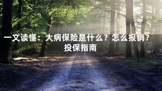 一文读懂：大病保险是什么？怎么报销？投保指南