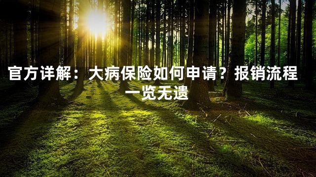 官方详解：大病保险如何申请？报销流程一览无遗